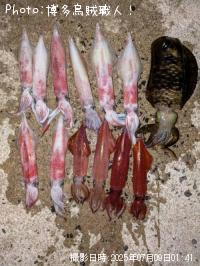 �����ꥤ��