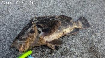 �����Υ���Х�