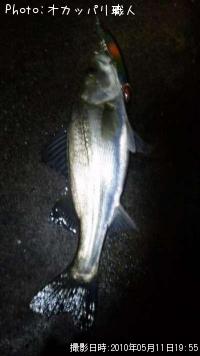 �����Х�