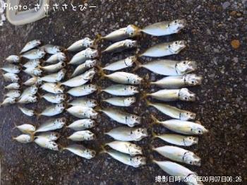 ���������ޥ���������