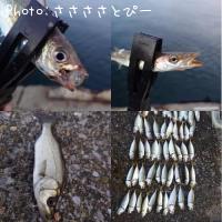 ���������ޥ���������