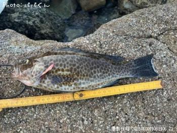 ¥ª¥ª¥â¥ó¥Ï¥¿