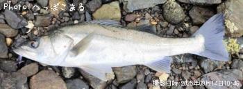 �����Х�