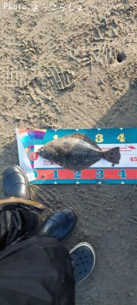 ¥Ò¥é¥á¡Ê¥½¥²¡Ë