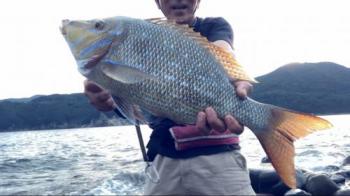 ¥Õ¥¨¥Õ¥¥À¥¤