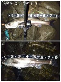 �����Х�