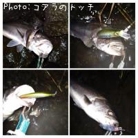 �����Х�