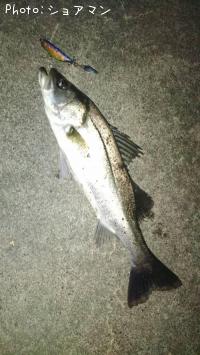 �����Х�