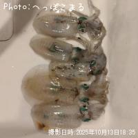 ¥¢¥ª¥ê¥¤¥«