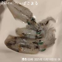 ¥¢¥ª¥ê¥¤¥«