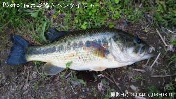 �֥�å��Х�