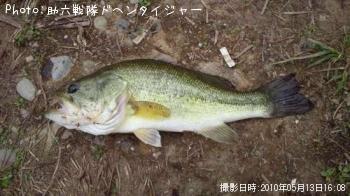 �֥�å��Х�