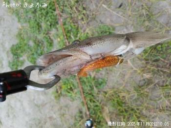 �ޥ���