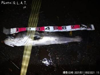 �����Х�