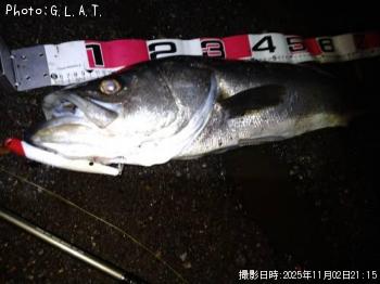 �����Х�