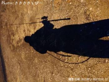 �����Х�