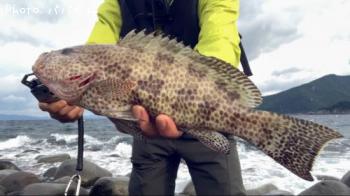 �������ϥ�