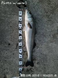 �����Х�