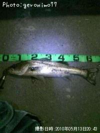 �����Х�