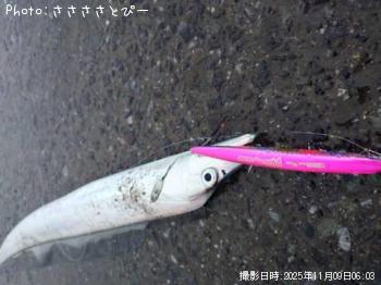 ÂÀÅáµû