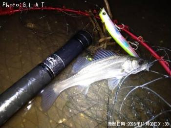 �����Х�