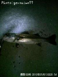 �����Х�