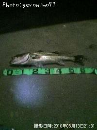 �����Х�