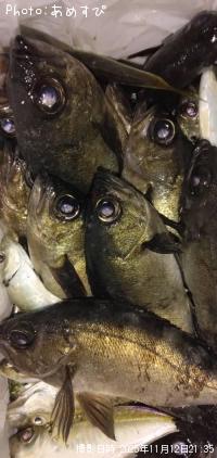 ��������Х�