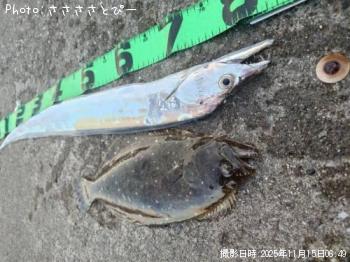 �ҥ��������