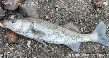 �����Х�