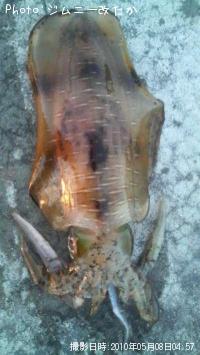 �����ꥤ��