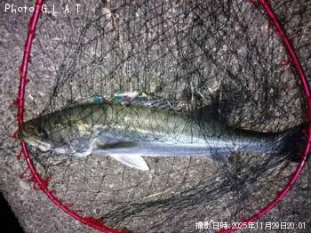 �����Х�