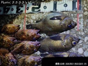 ��Х��������