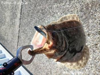 �ҥ��