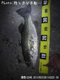 ¥Ö¥é¥Ã¥¯¥Ð¥¹