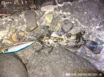 �����Υ���Х�