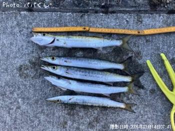 ������󥫥ޥ�