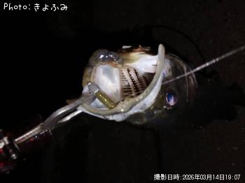 �����Х�