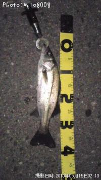 �����Х�