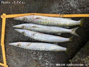 ������󥫥ޥ�