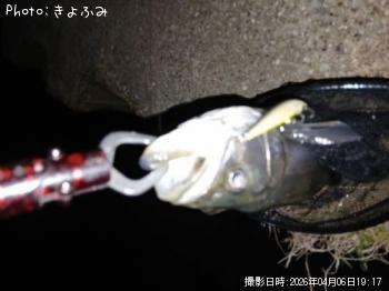 �����Х�