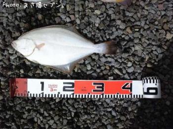 ¥¤¥·¥¬¥ì¥¤