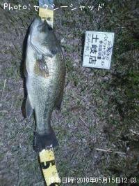 �֥�å��Х�