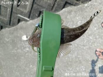 �ޥ���