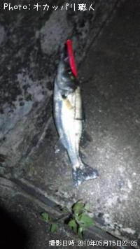 �����Х�