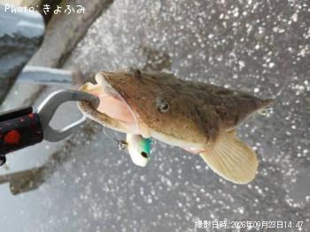 �ޥ���