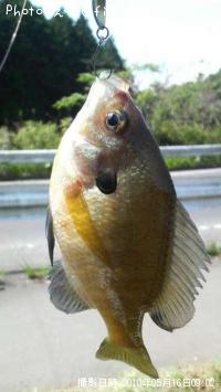 �֥롼����