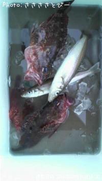 ������������