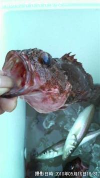 ������������