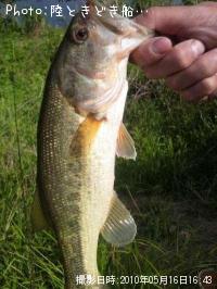 �֥�å��Х�